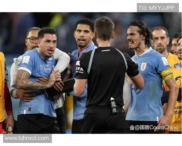 德国与喀麦隆比赛主裁判的执法表现分析与讨论